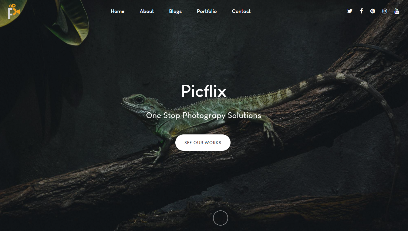 Picflix - One Stop Photography Solutions